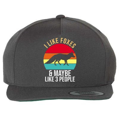 I Like Foxes And Maybe Like 3 People Funny Wool Snapback Cap