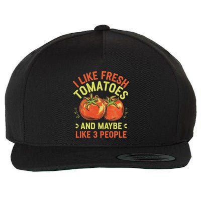 I Like Fresh Tomatoes Funny Introvert Sarcastic Humor Wool Snapback Cap