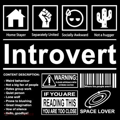 Introvert Label Funny Gift T-Shirt