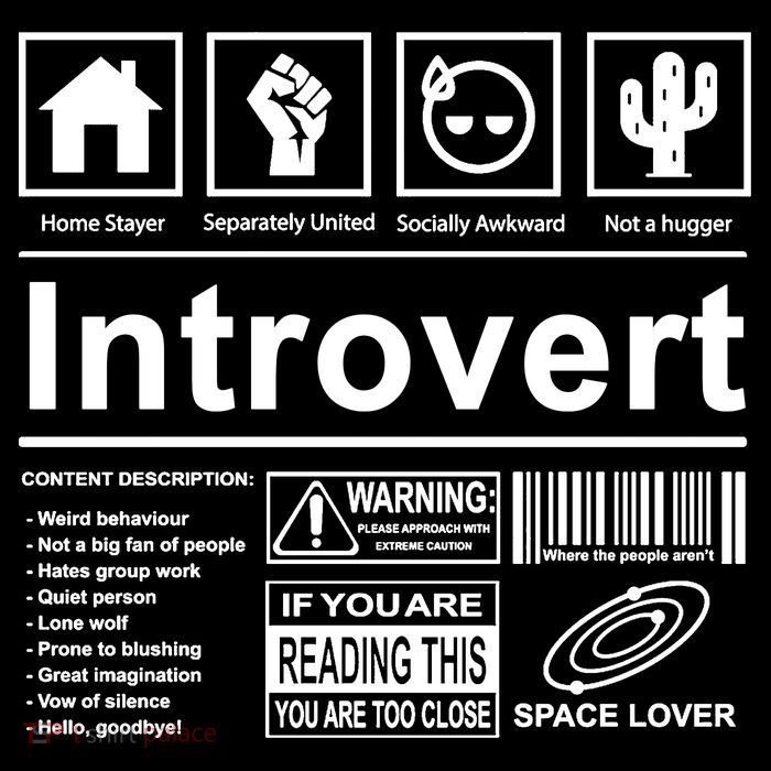 Introvert Label Funny Gift Poster