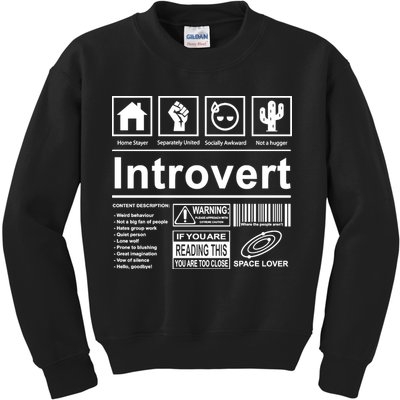 Introvert Label Funny Gift Kids Sweatshirt