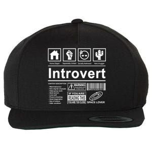 Introvert Label Funny Gift Wool Snapback Cap