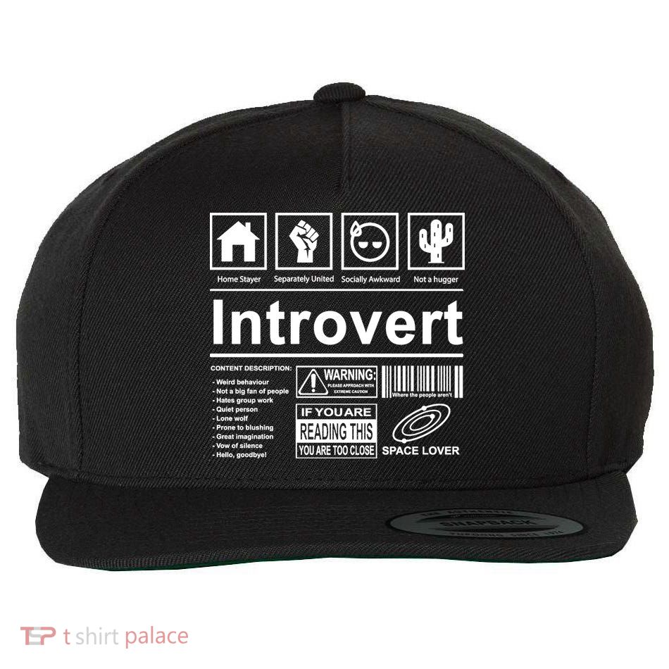 Introvert Label Funny Gift Wool Snapback Cap