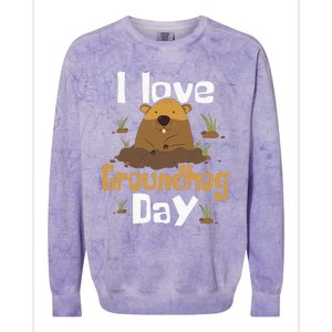 I Love Groundhog Day Funny Woodchuck Groundhog Day Colorblast Crewneck Sweatshirt