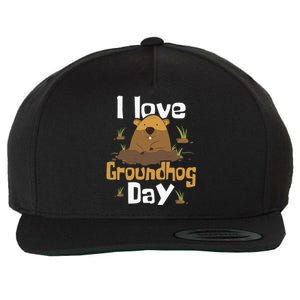 I Love Groundhog Day Funny Woodchuck Groundhog Day Wool Snapback Cap