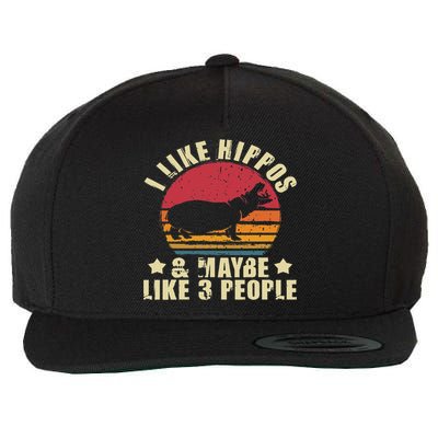 I Like Hippos & Maybe Like 3 People Zookeeper Hippopotamus Wool Snapback Cap