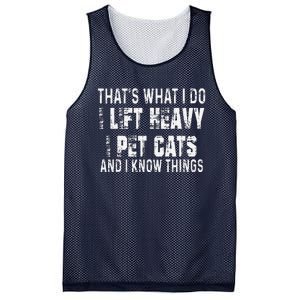 I Lift Heavy Pet Cats And Know Things Funny Gym Mesh Reversible Basketball Jersey Tank