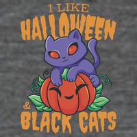 I Like Halloween And Black Cats 7 Panel Mesh Trucker Snapback Hat
