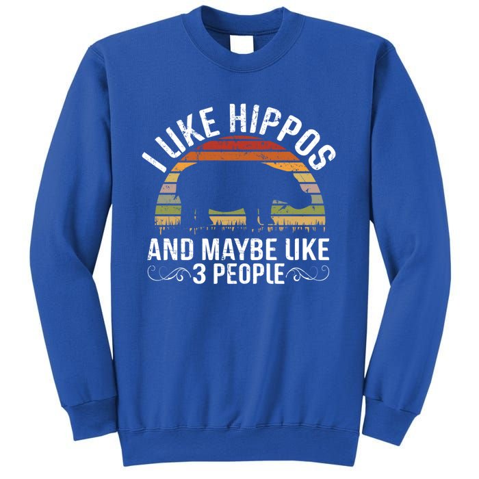 I Like Hippos And Maybe Like 3 People Hippopotamus Hippo Meaningful Gift Sweatshirt