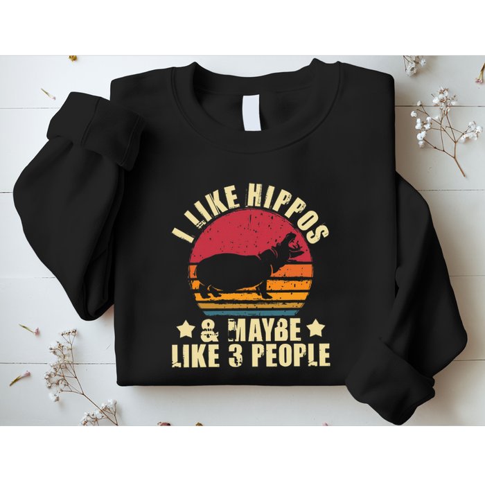 I Like Hippos & Maybe Like 3 People Zookeeper Hippopotamus Sweatshirt