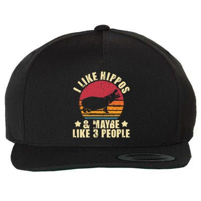 I Like Hippos & Maybe Like 3 People Zookeeper Hippopotamus Wool Snapback Cap