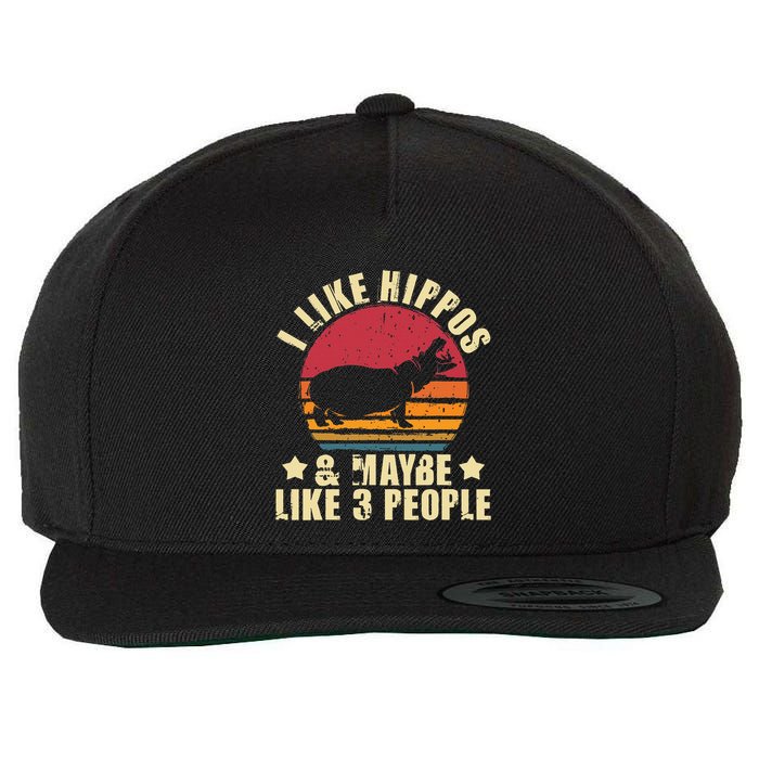 I Like Hippos & Maybe Like 3 People Zookeeper Hippopotamus Wool Snapback Cap