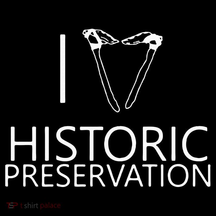 I Love Historic Preservation Women's V-Neck T-Shirt