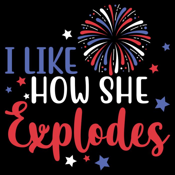 I Like How She Explodes 4th Of July Funny 16 in Basic Backpack