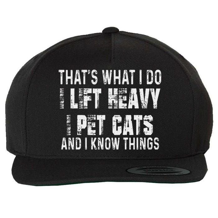 I Lift Heavy Pet Cats And Know Things Funny Gym Wool Snapback Cap