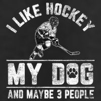 I Like Hockey My Dog And Maybe 3 People Funny Saying 7 Panel Mesh Trucker Snapback Hat
