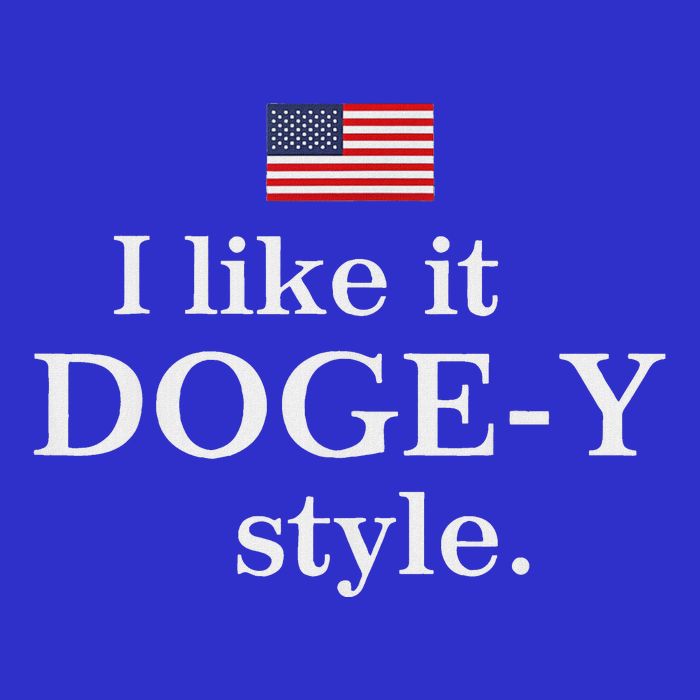 I Like It Doge Y Style Doge Fans Stripe Pom Pom Beanie