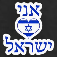 I Love Israel In Hebrew 7 Panel Mesh Trucker Snapback Hat