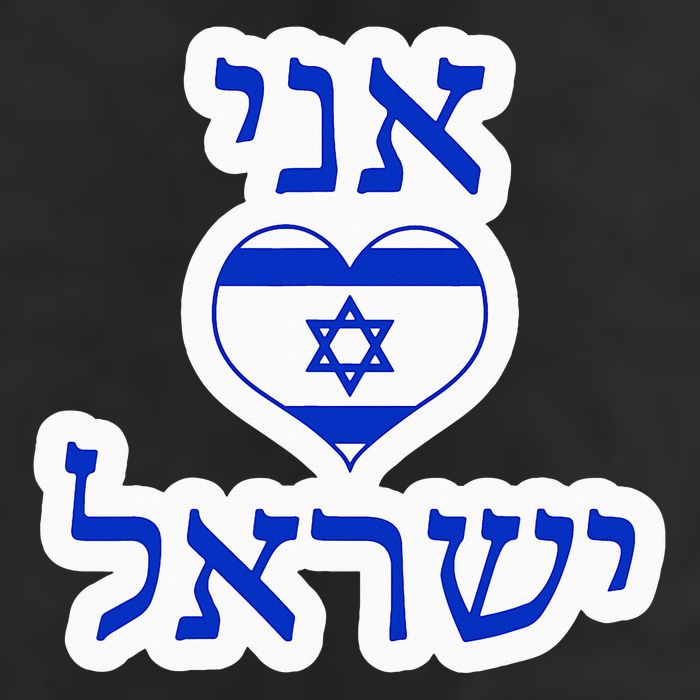 I Love Israel In Hebrew 7 Panel Mesh Trucker Snapback Hat
