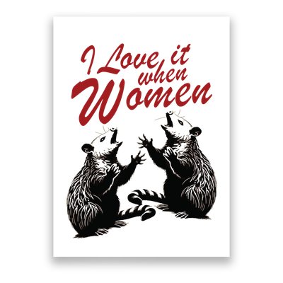 I Love It When Women Poster
