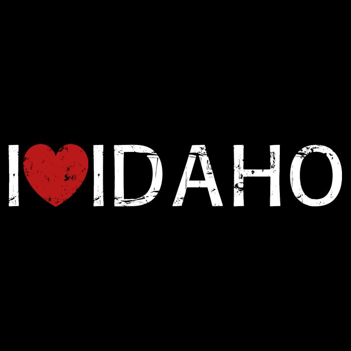 I Love Idaho Womens T-Shirt