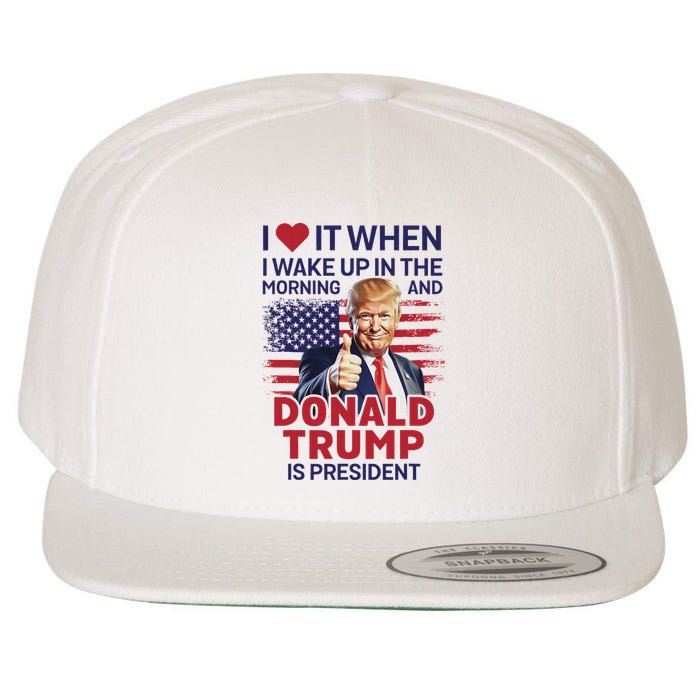 I Love It When I Wake Up And Trump Is President Funny Trump Wool Snapback Cap