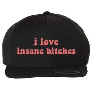 I Love Insane Bitches Funny Sarcastic Wool Snapback Cap