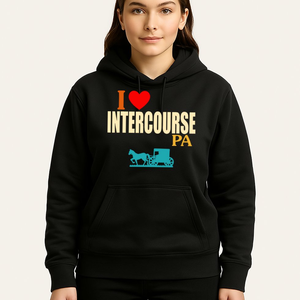 I Love Intercourse Funny Pa Hoodie