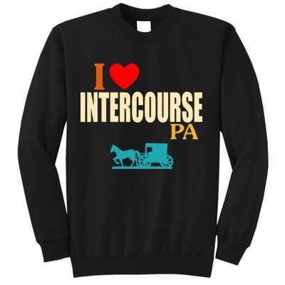 I Love Intercourse Funny Pa Sweatshirt