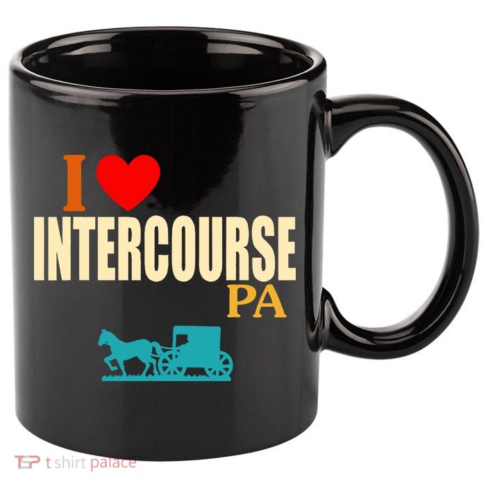 I Love Intercourse Funny Pa 11oz C Handle Ceramic Mug