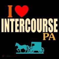 I Love Intercourse Funny Pa Poster