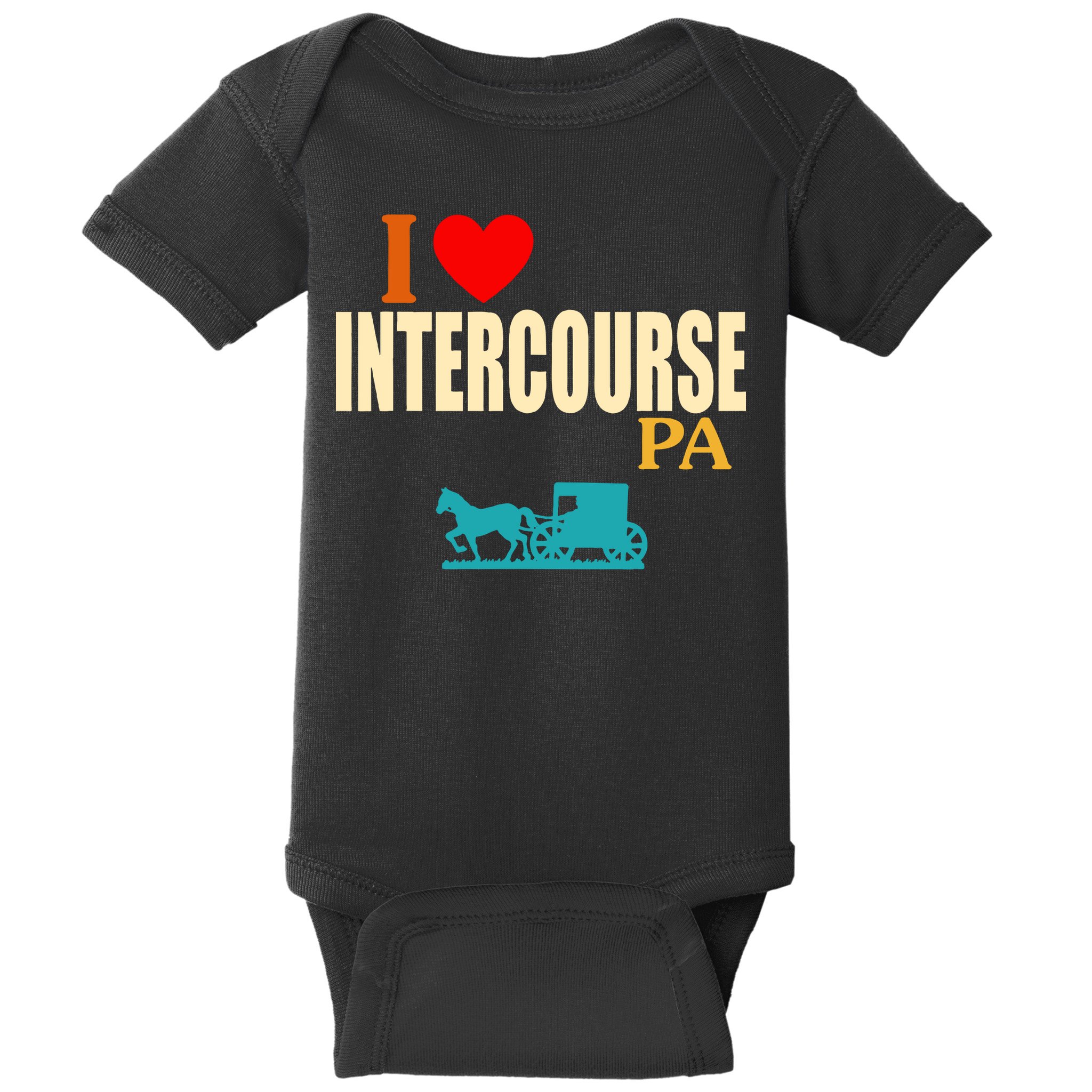 I Love Intercourse Funny Pa Baby Bodysuit