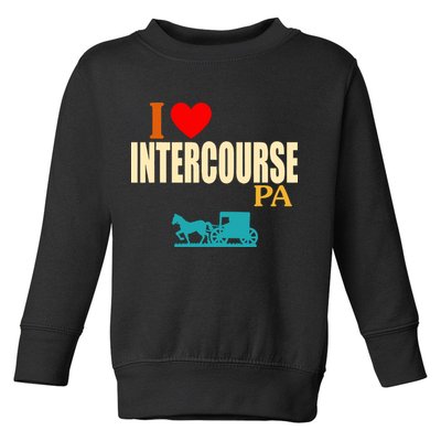 I Love Intercourse Funny Pa Toddler Sweatshirt