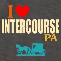 I Love Intercourse Funny Pa Vector Backpack
