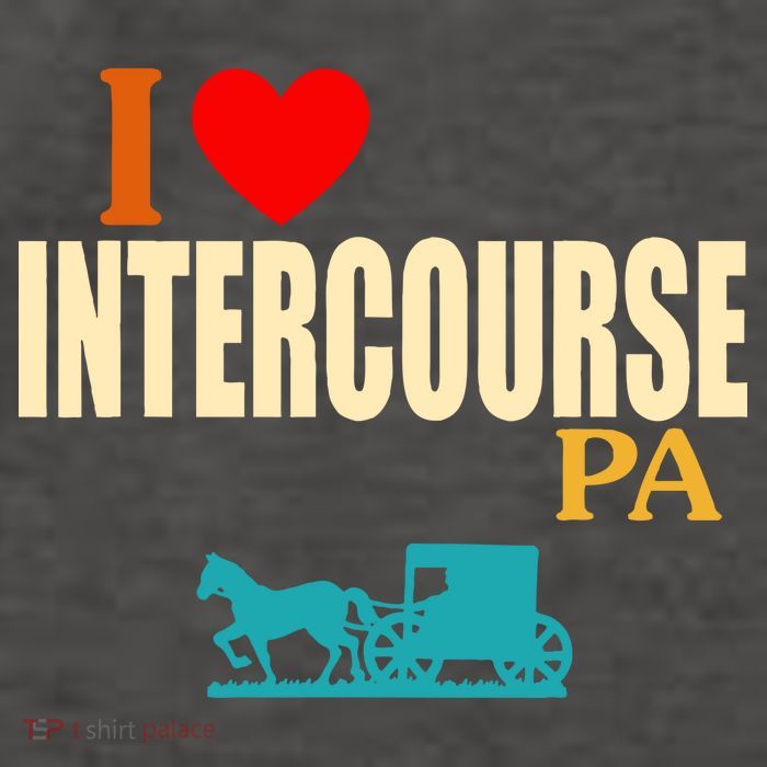 I Love Intercourse Funny Pa Vector Backpack
