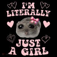 Im Literally Just A Girl Sad Hamster Meme Womens T-Shirt