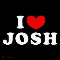 I Love Josh I Heart Josh Poster