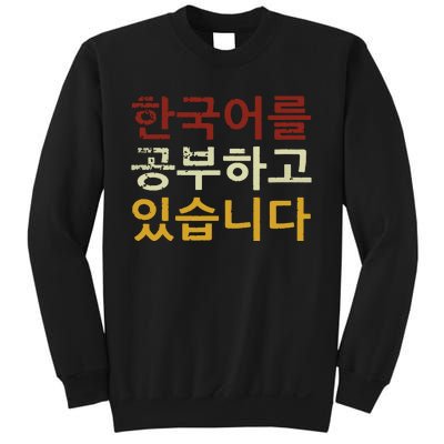 Im Learning Korean Language Hangul Funny Gift Sweatshirt