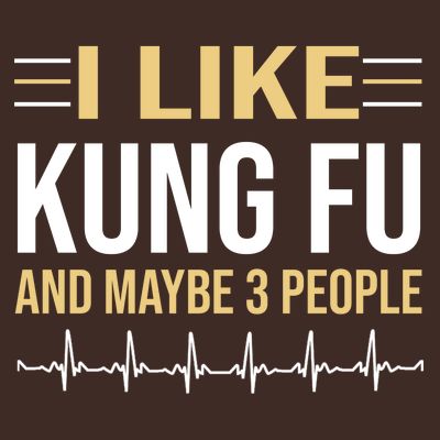 I Like Kung Fu And Maybe 3 People T-Shirt