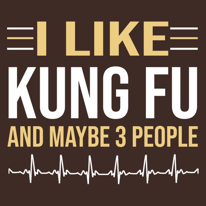 I Like Kung Fu And Maybe 3 People Full Zip Hoodie