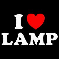 I Love Lamp Funny Light Shade Lampshade Candle Lantern Moth Drawstring Bag