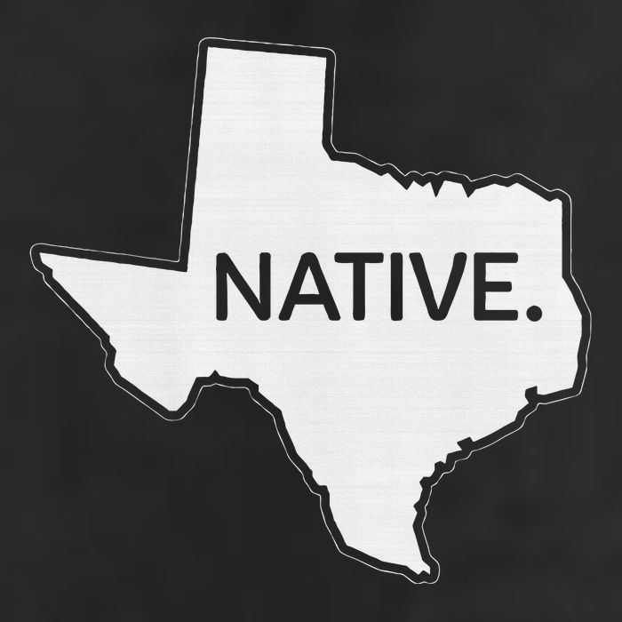 I Love Lone Star State Texas Native 11oz C Handle Ceramic Mug