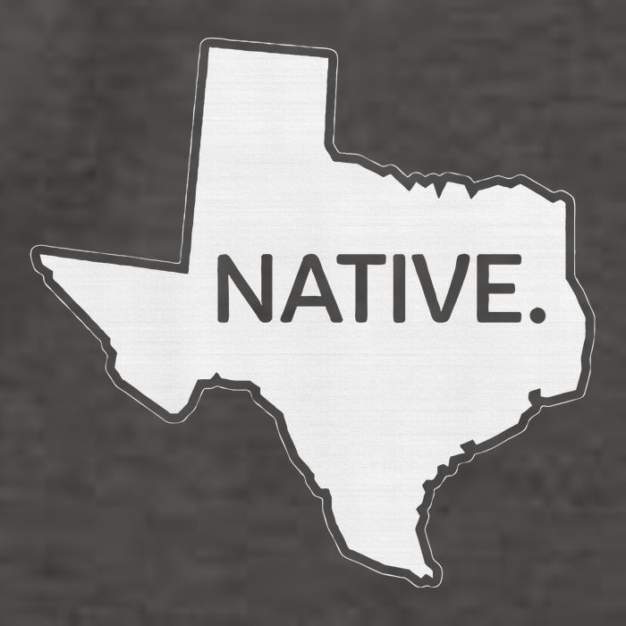 I Love Lone Star State Texas Native Vector Backpack