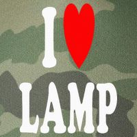 I Love Lamp Funny Light Shade Lampshade Candle Lantern Moth Legacy Tie Dye Trucker Hat