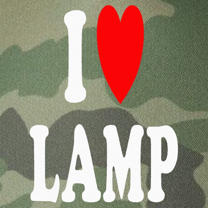 I Love Lamp Funny Light Shade Lampshade Candle Lantern Moth Legacy Tie Dye Trucker Hat