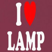 I Love Lamp Funny Light Shade Lampshade Candle Lantern Moth 16oz Travel Tumbler