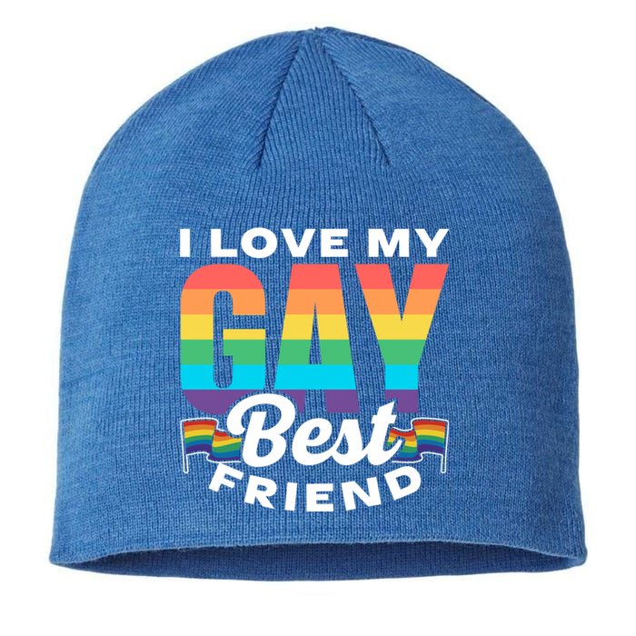 I Love My Gay Best Friend Rainbow Pride Proud Lgbtq Funny Gift Sustainable Beanie