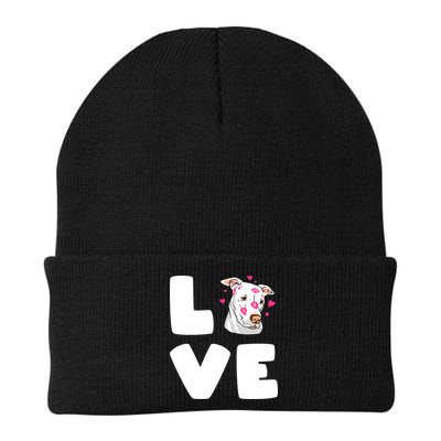 I Love My Pitbull Love Pitbull Pittie Dog Moms Dads Meaningful Gift Beanie