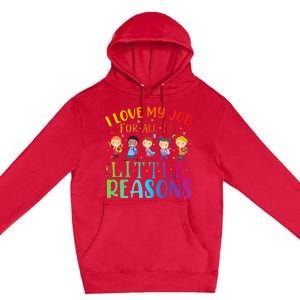 I Love My Job For All The Little Reasons Cute Teaching Premium Pullover Hoodie