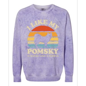 I Like My Pomsky And Maybe Like 3 People Dog Lover Retro Colorblast Crewneck Sweatshirt